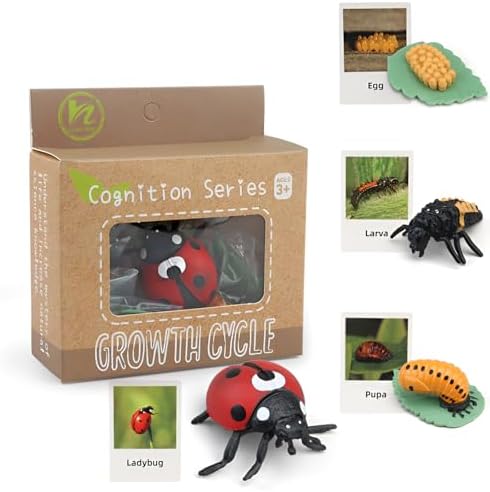 ​Montessori Life Cycle Learning - Montessori Life Cycle Animal Figures with Flash Cards, Plastic Insects Monarch Butterfly Kit Caterpillar Toy for Kids, Realistic Animal Figurines (Ladybug) by BOTICAKO