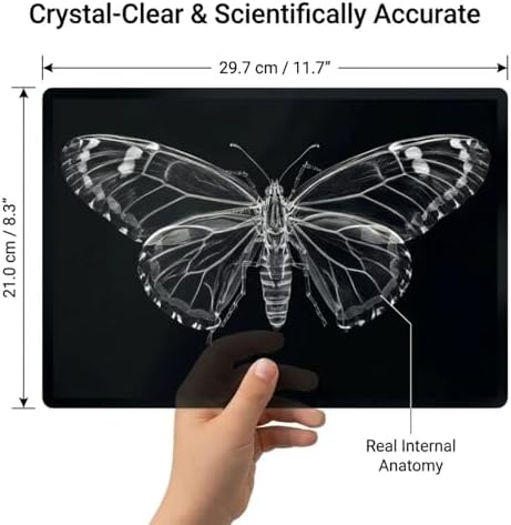 16Pcs Large A4 Insect & Animal X-Rays for Kids – Bug Science Kit & Light Table Accessories, Classroom & Homeschool Science Unit, Pretend Play Bug Scientist Detective, Bug-Themed Birthday Party Favors - Image 2