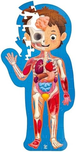 Hape Human Body Puzzle | 60 Oversized Pieces Educational Anatomy Jigsaw, Wooden Organs, for Children 4+ Years by Unknown
