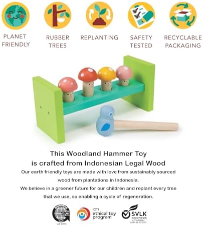 Mentari Toys - Woodland Hammer- 6pc Montessori Toy - Wooden Pounding Bench with Birdie Hammer - Boost Fine Motor Skills and Hand-Eye Coordination in Toddlers - Early Development Toy - Age 18m+ - Image 5