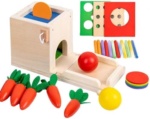 Wooden Montessori Toys for Toddler, Educational Toys for Baby Boys or Girls, 4 in 1 Montessori Object Permanence Box, Toddler Gifts for Boys or Girls by Villageofsmartmanufacturing