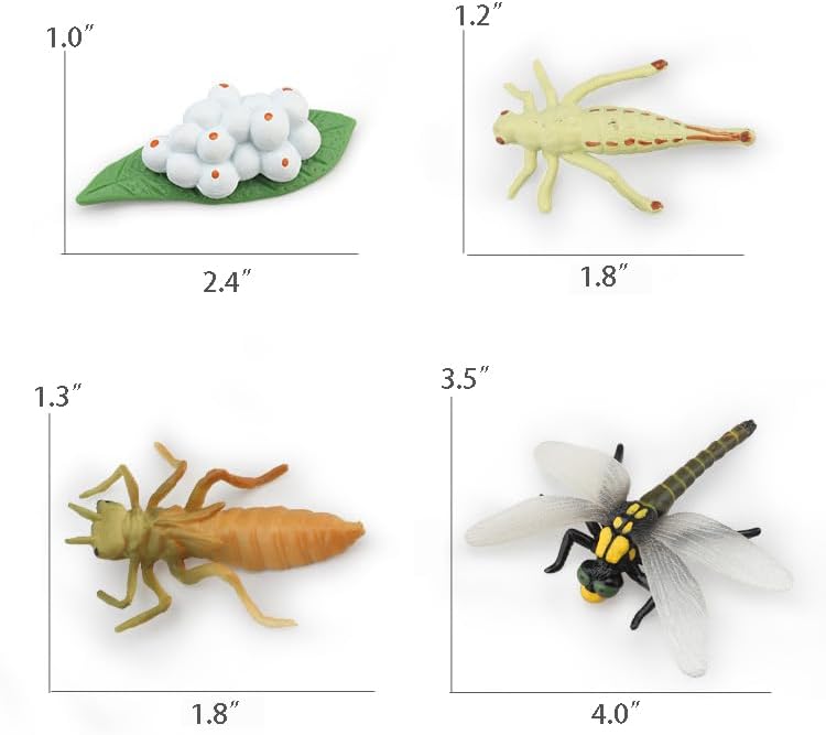 Montessori Life Cycle Animal Figures with Flash Cards, Realistic Animal Figurines Toy, and Educational Matching Game for Kids(Mantis, Locust, Dragonfly) - Image 3
