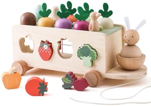 OESSUF Montessori Toys Toddlers Wooden Educational Toys for Baby Boys Girls, Shape Sorting & Matching Fine Motor Skills Toys, Birthday Gifts for Kids by OESSUFCometoBuyToys