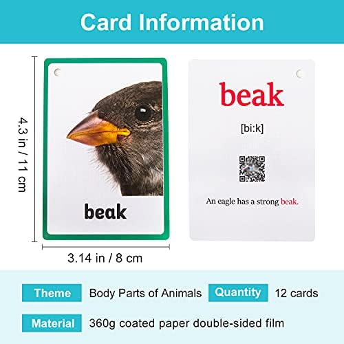 Lilias Body Parts of Animals Flash Cards, Toddler Learning Toys, Preschool Learning Toys, Homeschool Supplies, Learning Supplies for Kindergarten, 4.3 X 3.14 Inch, 12 Cards in Set - Image 2