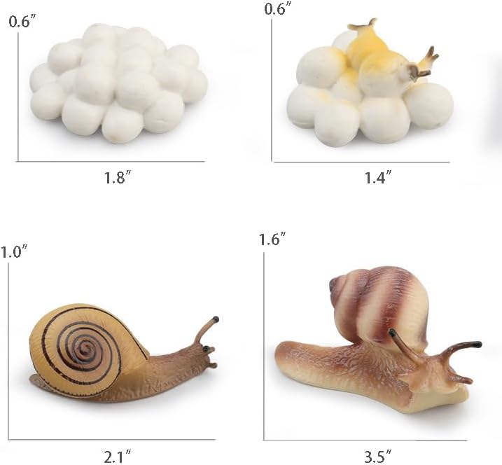 Montessori Life Cycle Animal Figures with Flash Cards, Realistic Animal Figurines Toy, and Educational Matching Game for Kids (Plant, Bee, and Snail) - Image 7