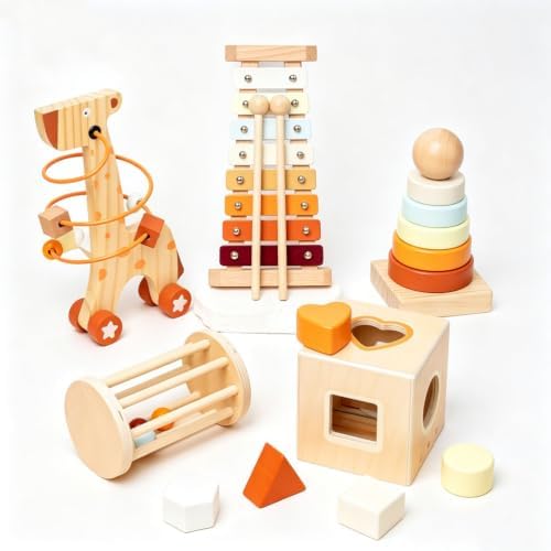 Montessori Wooden Baby Toy Set, Development Activity Toys by Unknown