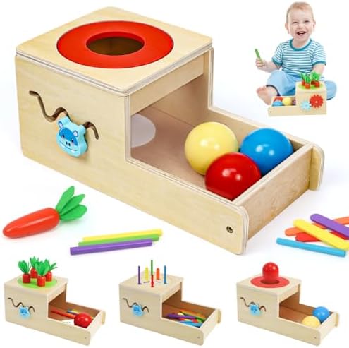 Wdmiya Montessori Toys for 1 Year Old, 6 in 1 Wooden Toys for Baby Boy Girl by Wdmiya