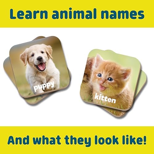Chuckle & Roar Baby Animals Memory Matching Game, CR Matching, 3+, 52 Cards - Image 5