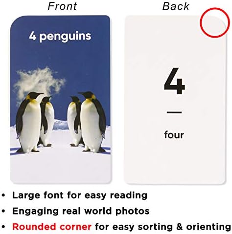 Award-Winning Numbers & Counting Flash Cards for Kids Ages 3-8 – Learn Counting 0-100, Number Recognition & Basic Math – 36 Durable Cards with Real Images for Preschool to Kindergarten - Image 6