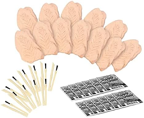 TRADE Big Bug Fossil Dig Kit - STEM Science & Educational Toys -Dig Up 12 Real Bugs Fly Ant Scorpion Lady Beetle Locust Cockroach Bumble Bee Cicada Dragonfly Cricket Praying Mantis Multicolored - Image 2