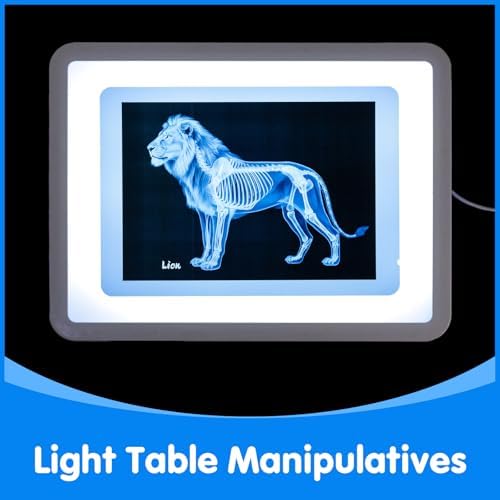 15 Pcs Zoo Animal Xrays for Kids - Light Table Manipulatives - Image 3