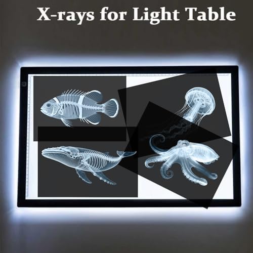 16 Animal X-Ray Set, Educational Science Kit for Kids to Explore Bone Structures for Lightstand Accessories, Light and Shadow Areas (Ocean Series) - Image 3