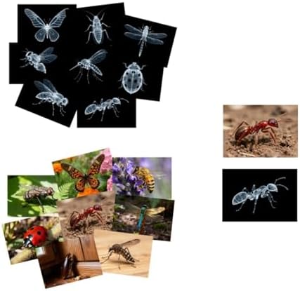 16 Animal X-Ray Set, Educational Science Kit for Kids to Explore Bone Structures for Lightstand Accessories, Light and Shadow Areas (Insect Series) by Unknown