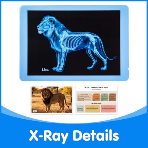 15 Pcs Zoo Animal Xrays for Kids - Light Table Manipulatives - Image 5