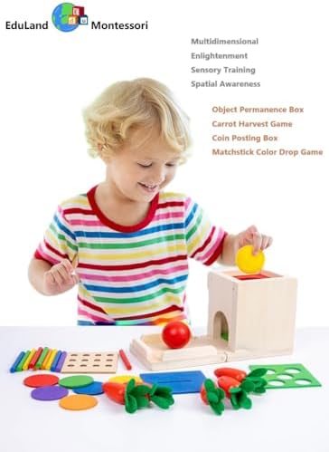 Practical Life Sensory Geometri Wooden Blocks 4-in-1 Toddlers Kit, Object Permanence Posting Coin Box, Carrot Harvest, Color Sticks Push- Matching, Motor Skill for Toddler 3-6 Years - Image 5