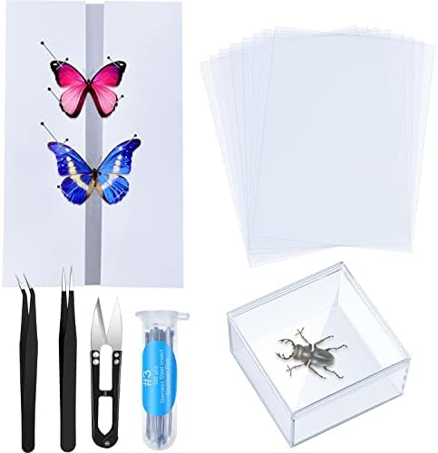 Taiyin 14 Pcs Insect Pinning Tools Kit, Clear Insect Display Case by Taiyin