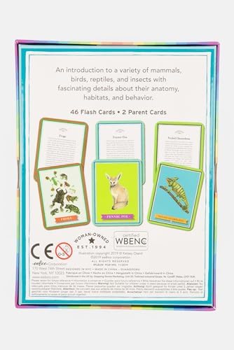 eeBoo: Beautiful World Educational Flashcards, 48 Cards Showcasing Various Animals, Learn About Mammals, Insects, Birds & Reptiles. Perfect for Ages 5 and up - Image 2