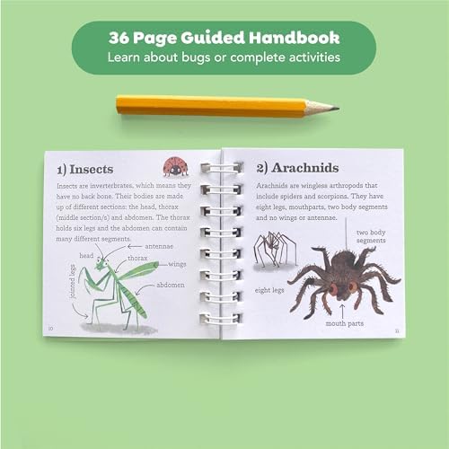 Tiger Tribe Bug Spotter Kit – Nature Exploration for Kids, Collector Box, Magnifying Lid, Bug Identification & Activity Booklet. Kids 4-8 Years - Image 3