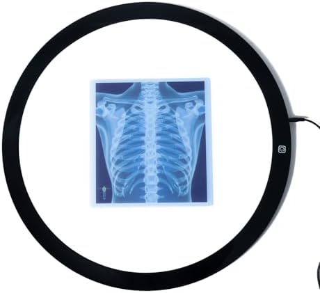 21 Pieces Human X-Ray Sets - Light Table Accessories - Image 6