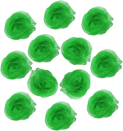 Lolakee Dance Scarves 12 Pcs Juggling Scarves for Kids Play Silk Scarve for Babies Toddlers Children Movement Learning Education Musical Accessories Colorful Scarfs Magic Tricks Performance (Green) by Lolakee