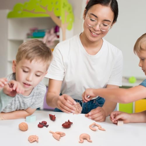 8 PCS Mini Human Body Model for Kids, Human Organ Model Anatomy, Physiology 3D Realistic Study Tools for Students Sciences Class Learn - Image 7