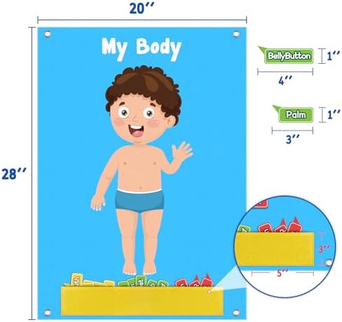 AKAYOK 36 Pcs Body Parts for Kids Felt Board for Toddlers Preschool Learning Activities Interactive Human Body for Kids Human Organ Educational Toys for 2 Year Old Felt Wall Activities for Toddlers - Image 4