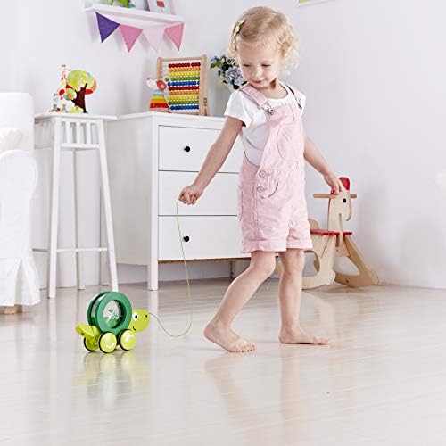 Hape Tito Pull Along | Wooden Turtle with Swirling Shell Pull Toddler Toy, Green - Image 2