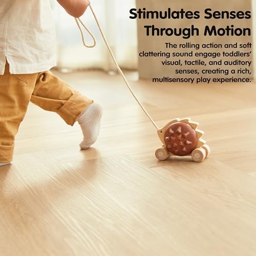 PlanToys® Wooden Pull Along Hedgehog Montessori Toddler Walking Kids Set - Image 6
