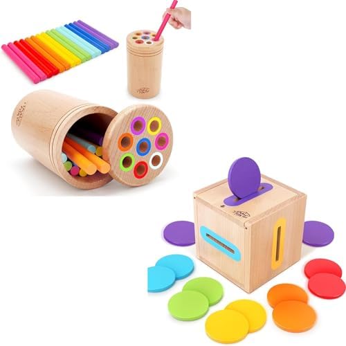 SMALL FISH Montessori Color Toys and Montessori Coin Box Bundle by SMALLFISH