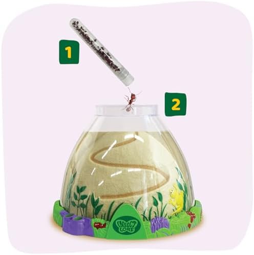 Insect Lore Ant Hill - Ant Habitat with Voucher to Redeem Live Western Harvester Ants - STEM Learning and Education Project for Classrooms or Homeschool - Image 2