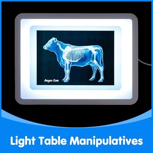 10 Pcs Farm Animal Xrays - Light Table Accessories - Image 5