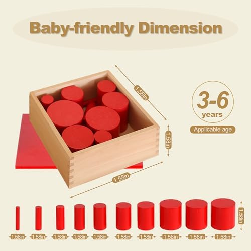 MONTESSORI OUTLET Knobless Cylinders (Set of 4) for 3-6 Years Montessori Education at School and Home - Image 3