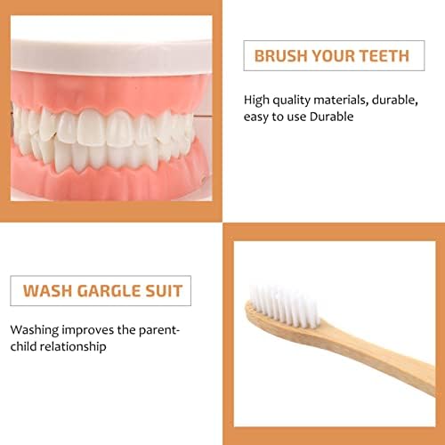 STOBOK Kids Toothbrush Set Montessori Teeth Brushing Toy with Wooden Brushes and Tray Educational Practical Life Model for Toddlers Preschool - Image 4