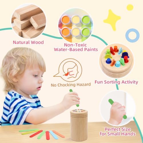 Montessori Wooden Color Sorting Toys for 18 Month Old,Preschool Learning Activities Educational Fine Motor Matching Game,Birthday Gifts for Boys Girls - Image 3