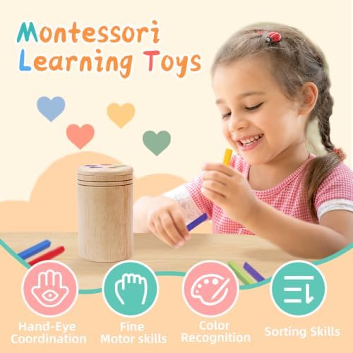 Montessori Wooden Stick Color Sorting Toys for 1+ Year Old - Image 2