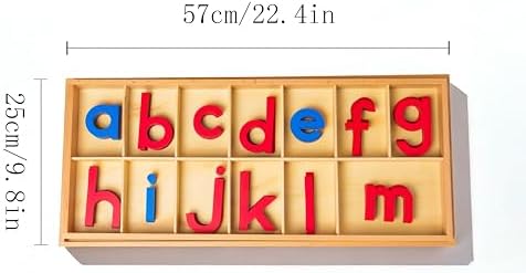 Premium Large Wooden Movable Alphabet Set 22.4in 5.2 lbs,155 Lowercase Letters in Dual Beechwood Boxes | Montessori Red & Blue Letters for Word Building & Writing,Wood Large Movable Alphabet - Image 5