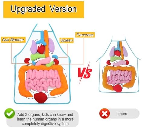 vocheer 3D Organ Apron, Anatomy and Physiology Human Body Model for Kids - Image 2