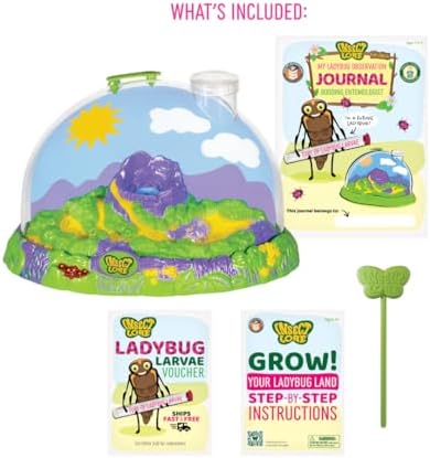 Insect Lore Ladybug Land with Prepaid Voucher - Redeem Voucher for 10-15 Native Ladybug Larvae - Diorama Style Ladybug Habitat for Kids - Observe, Raise, & Release Adult Ladybugs - Image 2