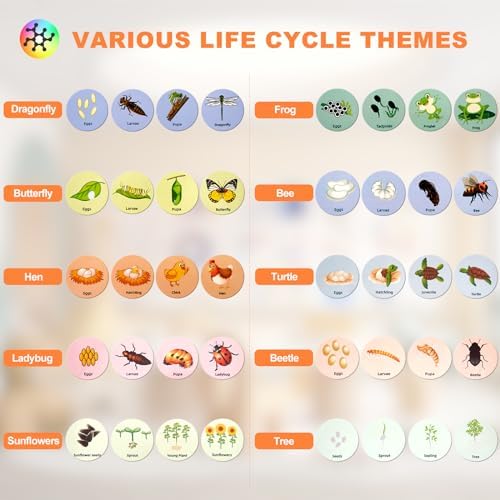 Life Cycle Toys for Kids Educational Science Kits, Montessori Toys for 3 4 5 6+ Years Old, Preschool Science Learning Easter Valentines Toys Gift for Toddler Boys & Girls - Image 2