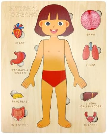 Wooden Body Puzzles for Kids, Toddler Montessori 14 Pieces Girl Anatomy Puzzle, Human Body Learning Toy with Internal Organs Early STEM Educational Toy for Boys and Girls Ages 3 4 5 6 Years Old by JugueteLand