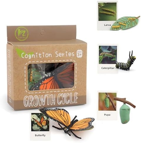 ​Montessori Life Cycle Learning - Montessori Life Cycle Animal Figures with Flash Cards, Plastic Insects Monarch Butterfly Kit Caterpillar Toy for Kids, Realistic Animal Figurines (Butterfly) by BOTICAKO