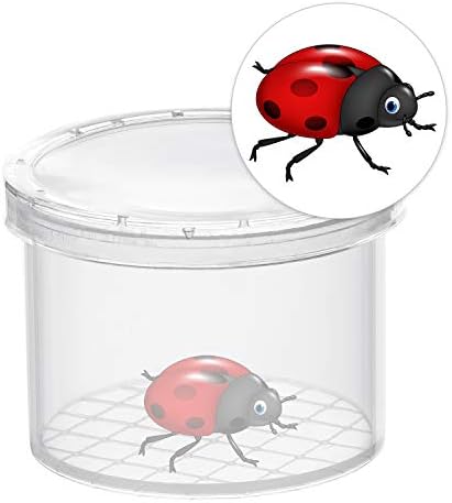 Coopay 80 Pieces Bug Viewer Critter Insect Cage Magnifying Insect Box Bug Magnifier Container Catcher Cage, Science Nature Exploration Tools - Image 2