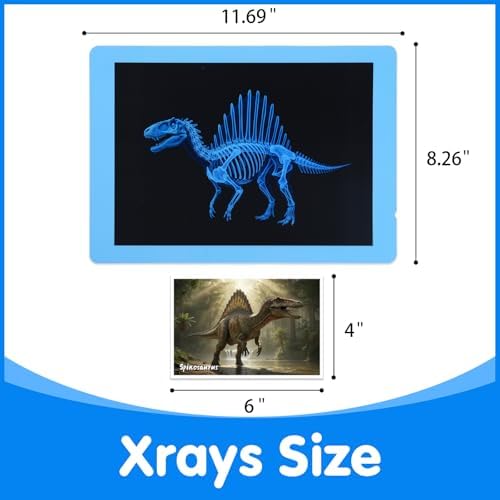 15 Pcs Dinosaur Xrays & Creatures Cards - Light Table Toys - Image 4