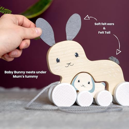 Bigjigs Toys FSC® Certified Bunny & Baby Pull Along Toy - Eco-Friendly Rabbit Pull Along with Cord & Baby Bunny Push-Along, Quality Pull Along Toys for 1 Year Olds, Wooden Baby Toys - Image 3