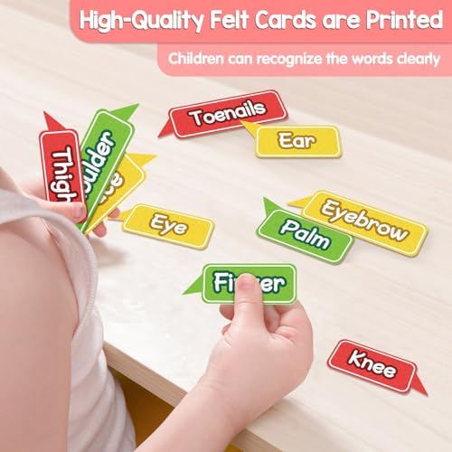AKAYOK 36 Pcs Body Parts for Kids Felt Board for Toddlers Preschool Learning Activities Interactive Human Body for Kids Human Organ Educational Toys for 2 Year Old Felt Wall Activities for Toddlers - Image 3