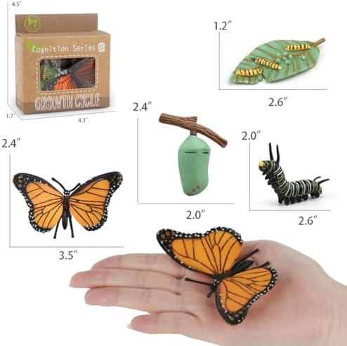​Montessori Life Cycle Learning - Montessori Life Cycle Animal Figures with Flash Cards, Plastic Insects Monarch Butterfly Kit Caterpillar Toy for Kids, Realistic Animal Figurines (Butterfly) - Image 5