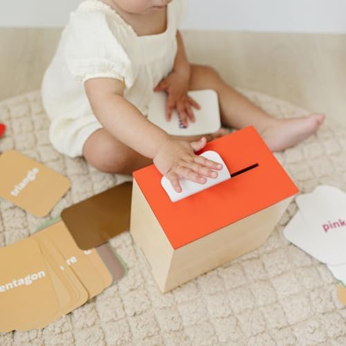 Learn & Drop Toddler Toy, Montessori Learning Games, 50 Preschool Flashcards for Toddlers 1-3, Learning Resources, Toddler Toys 2-3, Sight Word Flash Cards, Kindergarten Classroom Must Haves - Image 7