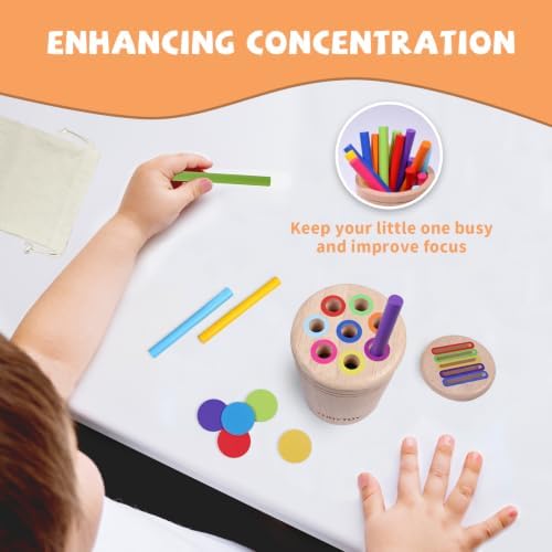 Montessori Toys for 1 2 3 Year Old, Wooden Color Sorting Preschool Baby Toy - Image 5