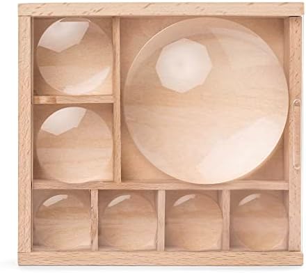 Kikkerland Huckleberry My Little Museum Bug Box Collection, Observation Bug House, 7 Compartments, in-Built Magnifying Lenses, for Insect Collecting - Image 2