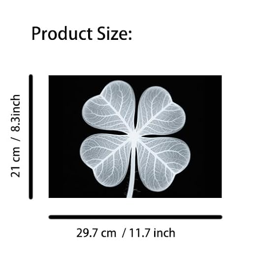 Vegetable, Fruit and Plant X-Rays, Set of 10, Simulation Specimen, Science Experiment Material for Kindergarten, Light Table, Montessori & Reggio-Inspired (Plant) - Image 2